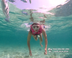 Underwater Odyssey snorkeling tour from Pattaya Thailand photo 18544