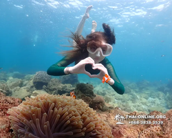 Underwater Odyssey snorkeling excursion Pattaya Thailand photo 11348