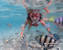 Underwater Odyssey snorkeling excursion in Pattaya Thailand photo 512