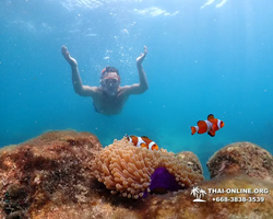 Underwater Odyssey snorkeling excursion in Pattaya Thailand photo 627