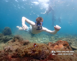 Underwater Odyssey snorkeling excursion Pattaya Thailand photo 11332