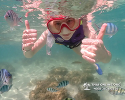 Underwater Odyssey snorkeling excursion Pattaya Thailand photo 19472