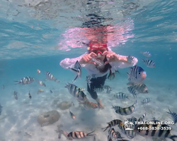 Underwater Odyssey snorkeling excursion in Pattaya Thailand photo 510