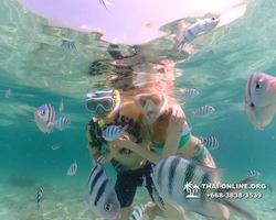 Underwater Odyssey snorkeling tour from Pattaya Thailand photo 18308