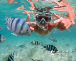 Underwater Odyssey snorkeling tour from Pattaya Thailand photo 14420