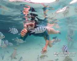 Underwater Odyssey snorkeling excursion in Pattaya Thailand photo 126