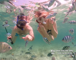 Underwater Odyssey snorkeling tour from Pattaya Thailand photo 18264