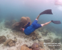 Underwater Odyssey snorkeling excursion in Pattaya Thailand photo 288