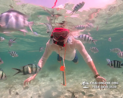 Underwater Odyssey snorkeling tour from Pattaya Thailand photo 18427