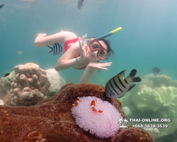 Underwater Odyssey snorkeling excursion Pattaya Thailand photo 19402