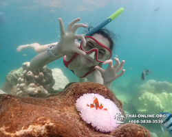 Underwater Odyssey snorkeling excursion Pattaya Thailand photo 19209