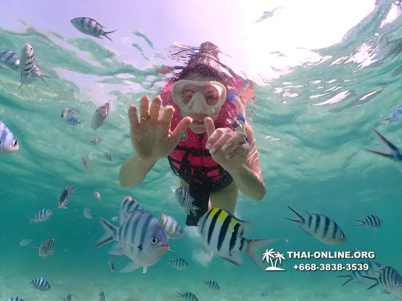 Underwater Odyssey snorkeling tour from Pattaya Thailand photo 18306