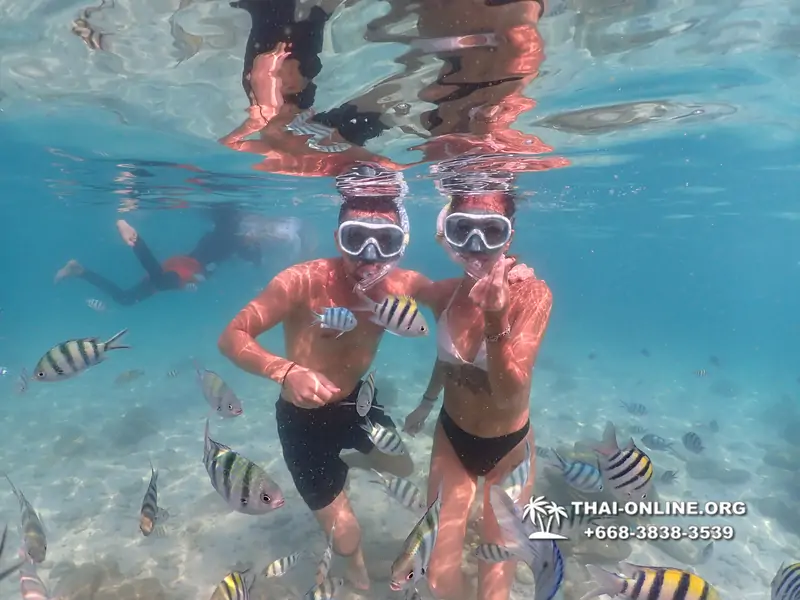Underwater Odyssey snorkeling tour from Pattaya Thailand photo 14343