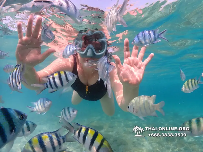 Underwater Odyssey snorkeling excursion Pattaya Thailand photo 11179