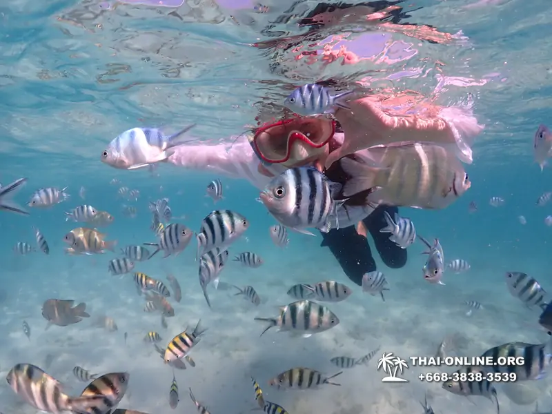 Pattaya snorkeling tour Underwater Odyssey at Samae San Archipelago in Thailand - photo 29