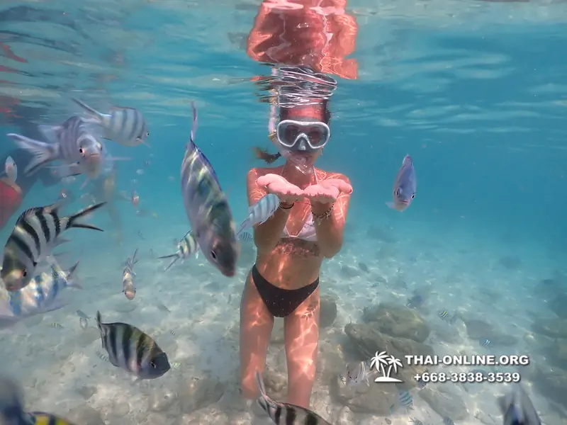 Underwater Odyssey snorkeling tour from Pattaya Thailand photo 14554