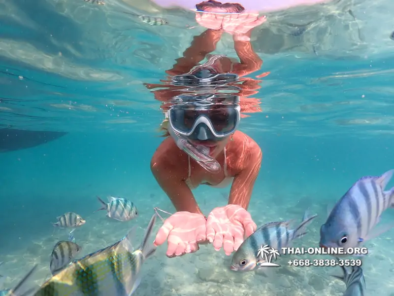 Underwater Odyssey snorkeling tour from Pattaya Thailand photo 14367