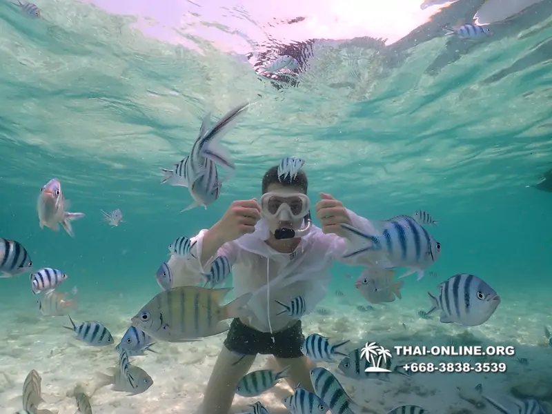 Underwater Odyssey snorkeling tour from Pattaya Thailand photo 18297