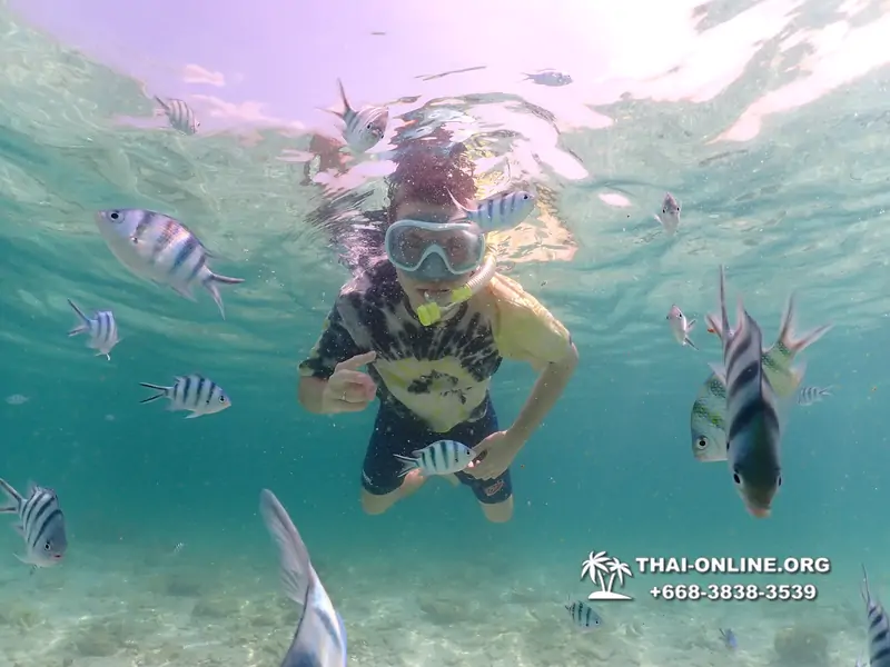 Underwater Odyssey snorkeling tour from Pattaya Thailand photo 18551