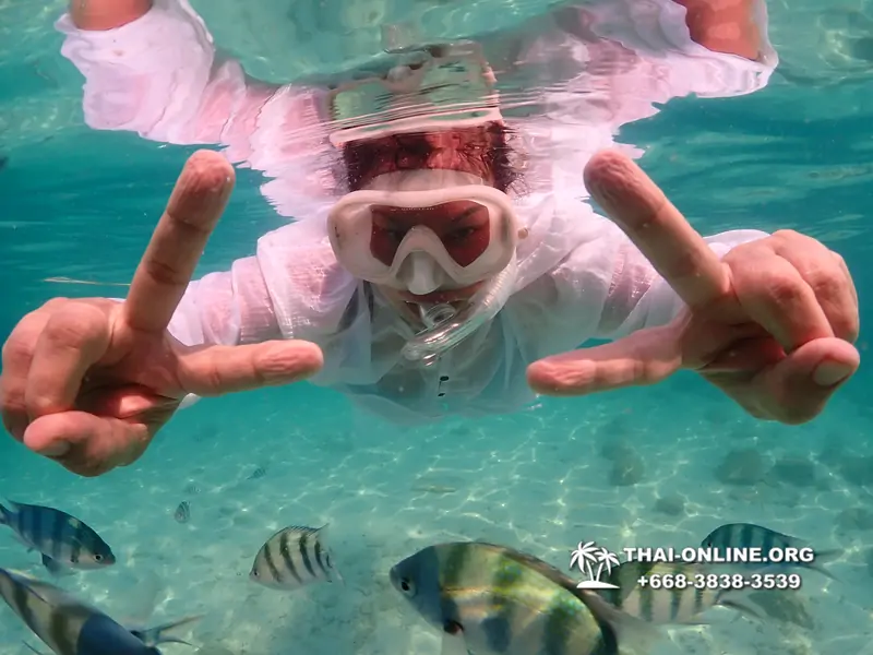 Underwater Odyssey snorkeling tour from Pattaya Thailand photo 14402