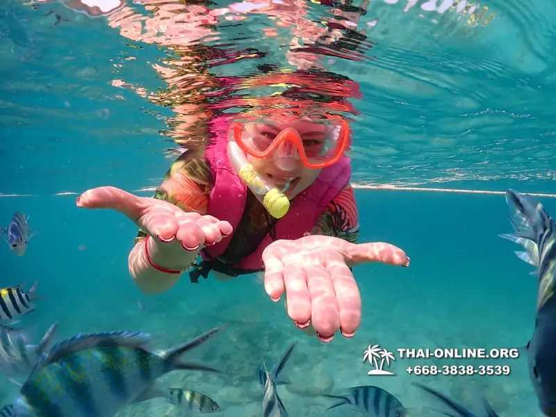 Underwater Odyssey snorkeling excursion Pattaya Thailand photo 11545