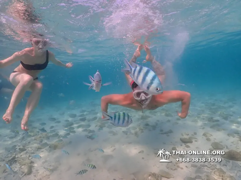 Underwater Odyssey snorkeling excursion Pattaya Thailand photo 11046