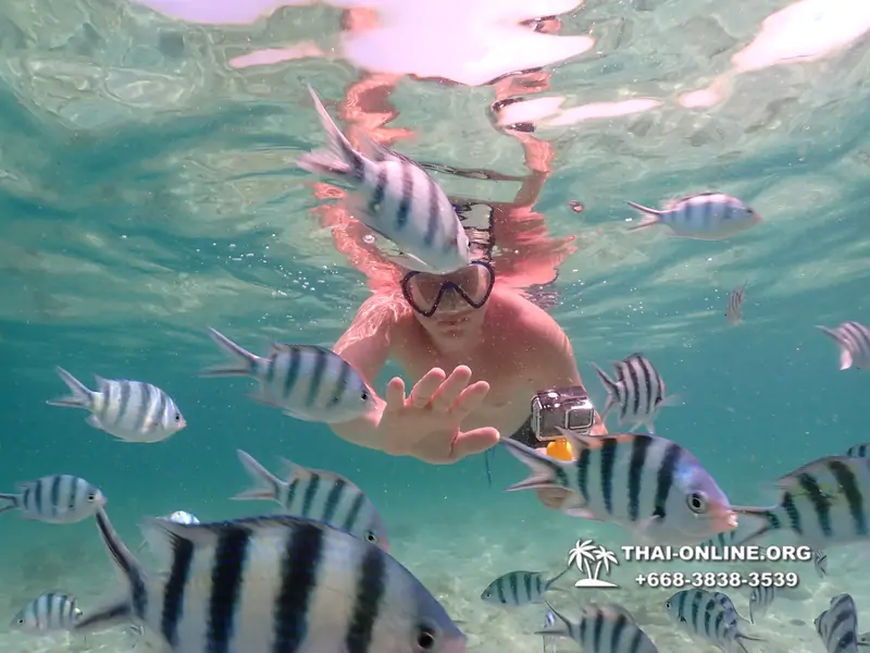 Underwater Odyssey snorkeling tour from Pattaya Thailand photo 18338