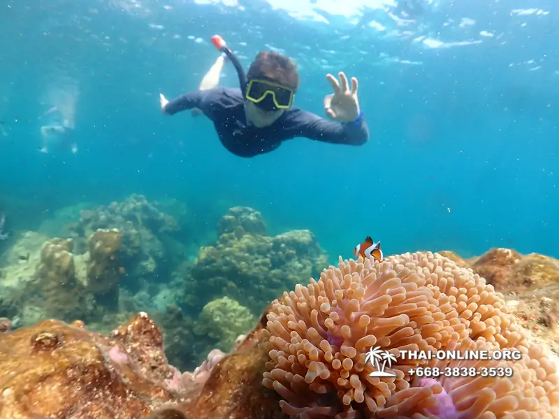 Underwater Odyssey snorkeling excursion Pattaya Thailand photo 14203