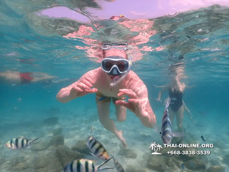 Underwater Odyssey snorkeling tour from Pattaya Thailand photo 14391
