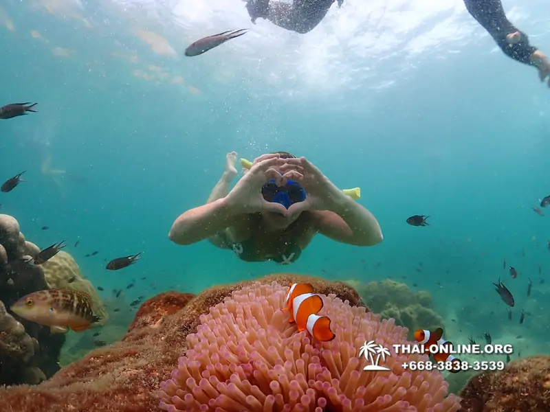 Underwater Odyssey snorkeling tour from Pattaya Thailand photo 18384