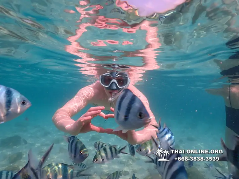 Underwater Odyssey snorkeling tour from Pattaya Thailand photo 14382