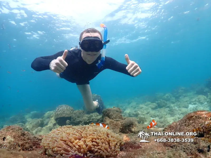 Underwater Odyssey snorkeling excursion Pattaya Thailand photo 11377