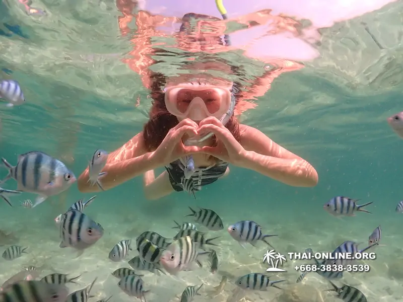 Underwater Odyssey snorkeling tour from Pattaya Thailand photo 18296