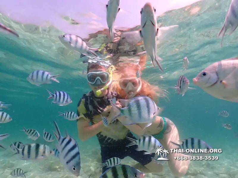 Underwater Odyssey snorkeling tour from Pattaya Thailand photo 18331