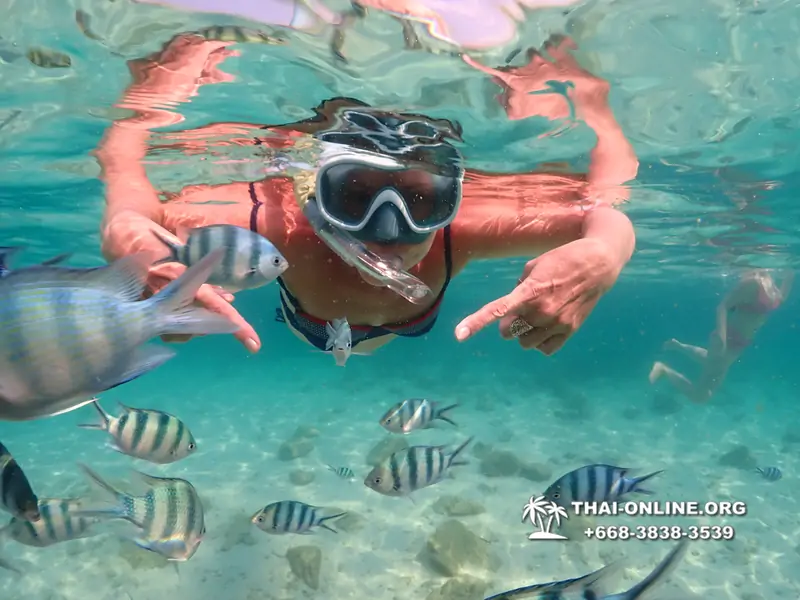 Underwater Odyssey snorkeling tour from Pattaya Thailand photo 14174