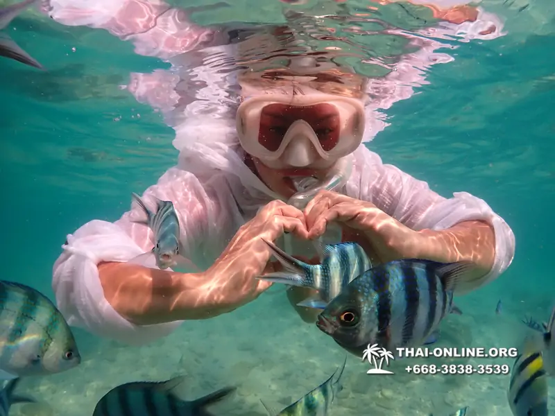 Underwater Odyssey snorkeling tour from Pattaya Thailand photo 14308