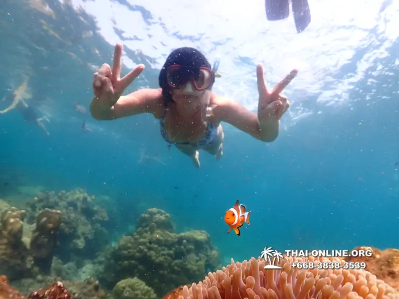 Underwater Odyssey snorkeling tour from Pattaya Thailand photo 14580