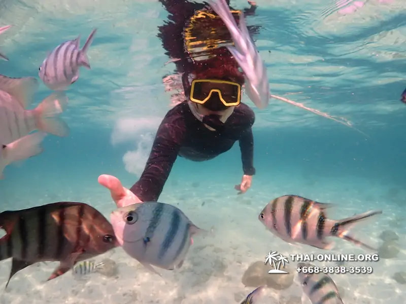 Underwater Odyssey snorkeling tour from Pattaya Thailand photo 14552