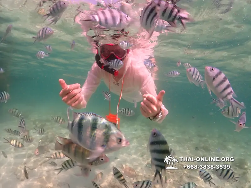 Underwater Odyssey snorkeling tour from Pattaya Thailand photo 18352