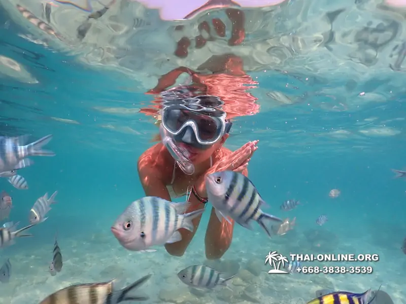 Underwater Odyssey snorkeling tour from Pattaya Thailand photo 14484