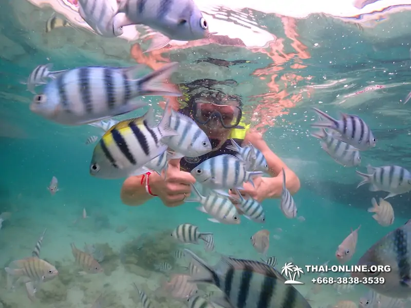 Pattaya snorkeling tour Underwater Odyssey at Samae San Archipelago in Thailand - photo 8