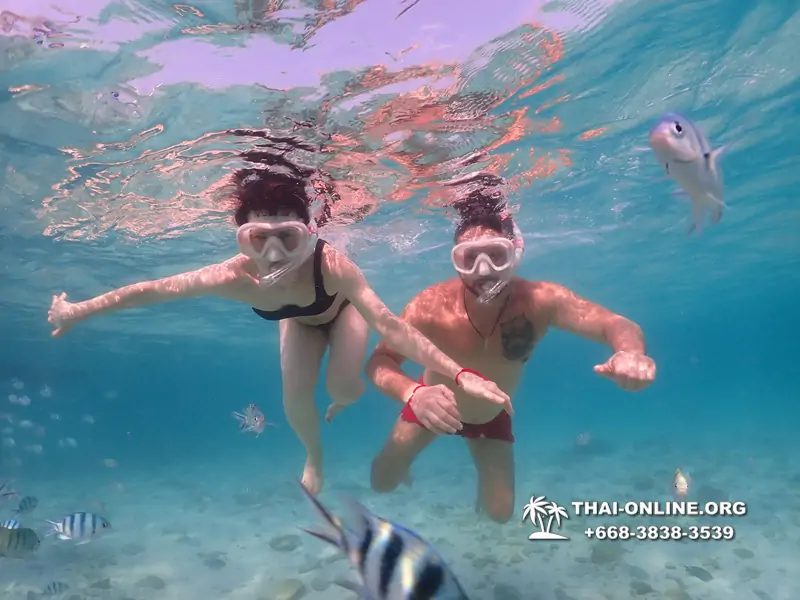 Underwater Odyssey snorkeling excursion Pattaya Thailand photo 11041