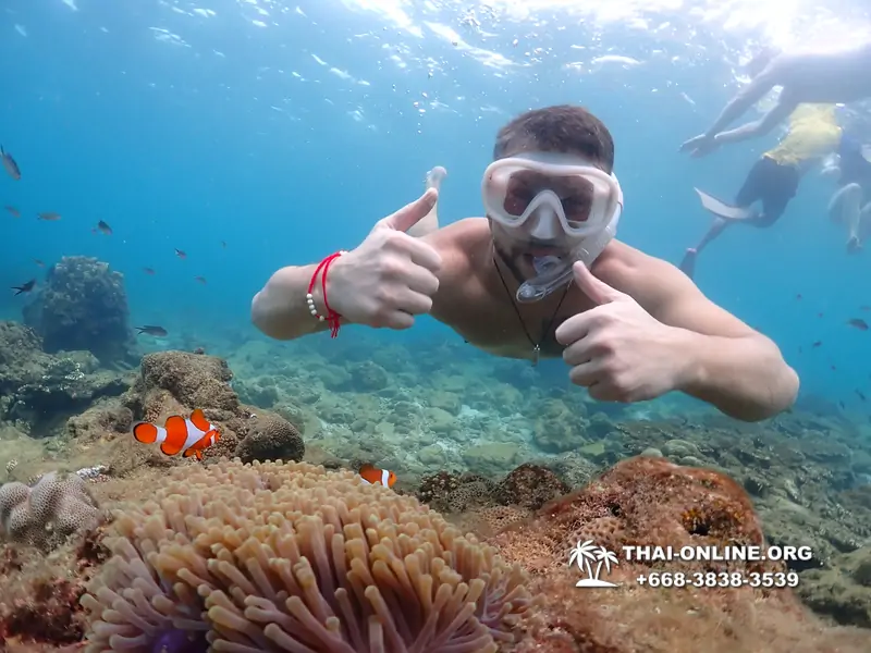 Underwater Odyssey snorkeling excursion Pattaya Thailand photo 11415