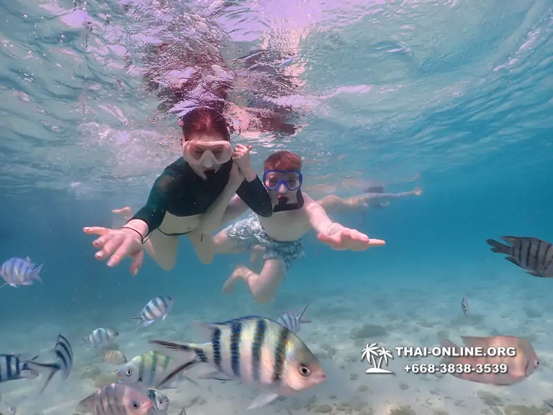 Underwater Odyssey snorkeling excursion Pattaya Thailand photo 11106