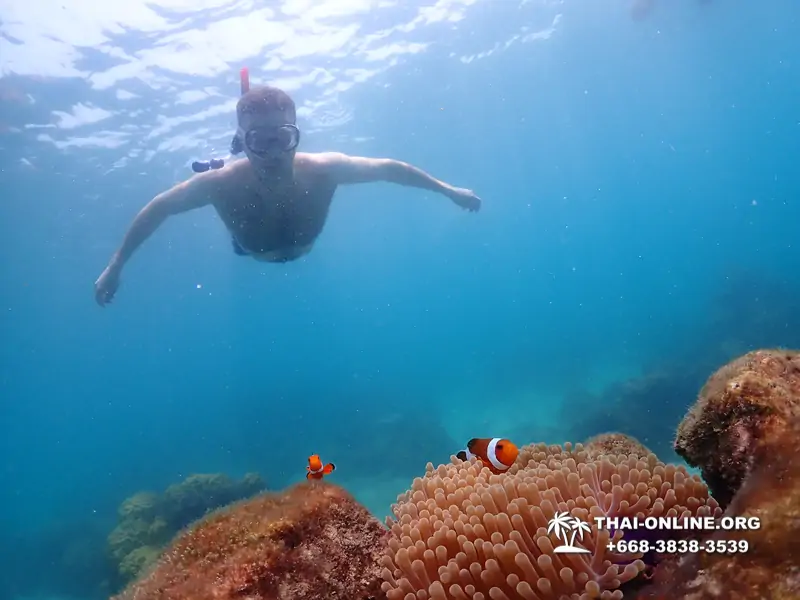 Underwater Odyssey snorkeling excursion in Pattaya Thailand photo 1023