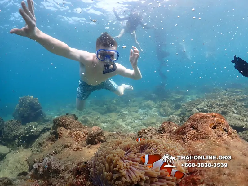 Underwater Odyssey snorkeling excursion Pattaya Thailand photo 11329