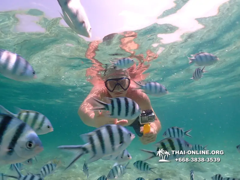 Underwater Odyssey snorkeling tour from Pattaya Thailand photo 18402