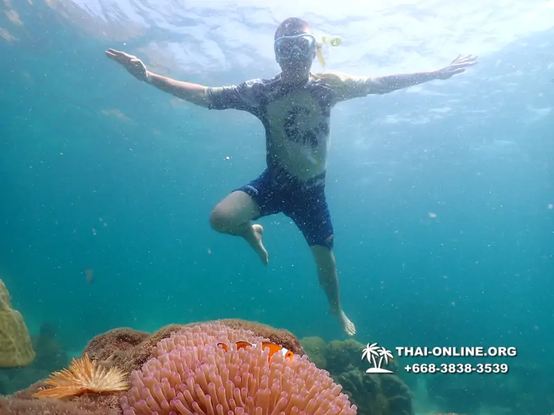 Underwater Odyssey snorkeling tour from Pattaya Thailand photo 18647