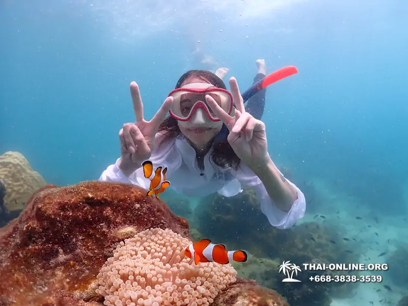 Pattaya snorkeling tour Underwater Odyssey at Samae San Archipelago in Thailand - photo 32