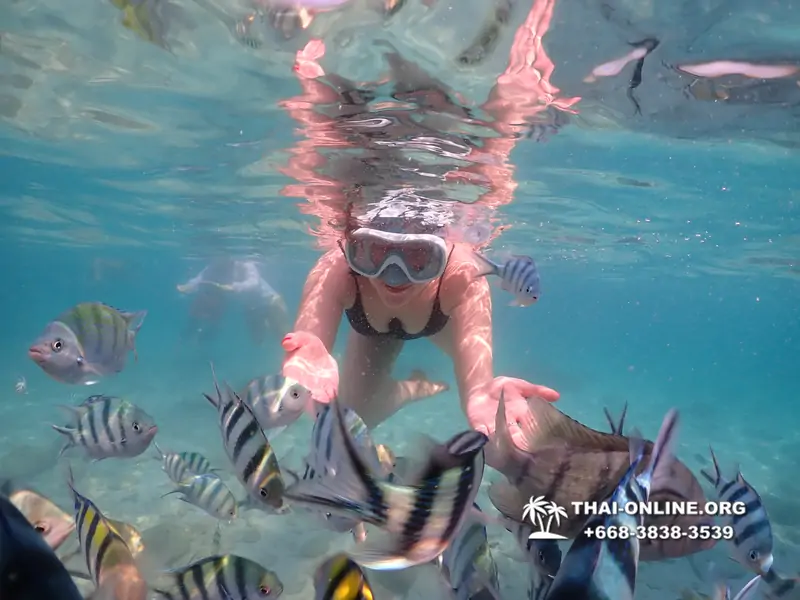 Underwater Odyssey snorkeling tour from Pattaya Thailand photo 14441
